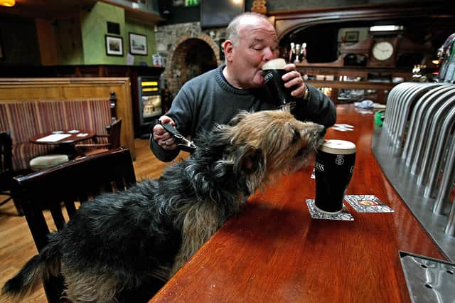Scotland's Dog-Friendly Pub of the Year is now officially The Brig & Barrel in Dunbar