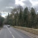 The felled trees were on land off Newbattle Road, in a conservation area.