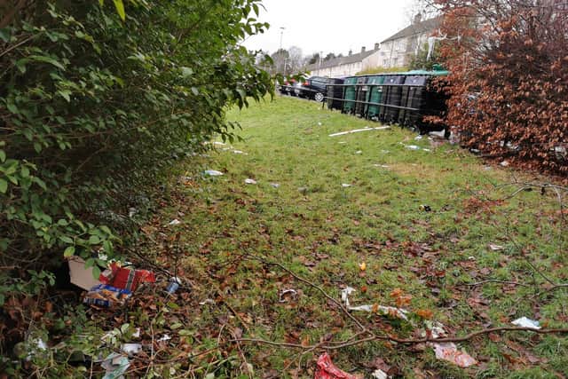 Valentina Miteva, 33, frustrated with the litter dumped in her Firrhill garden.