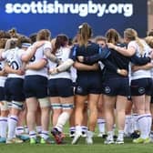 Scottish Rugby has announced the awarding of 28 professional contracts ahead of the Women's Six Nations in March.