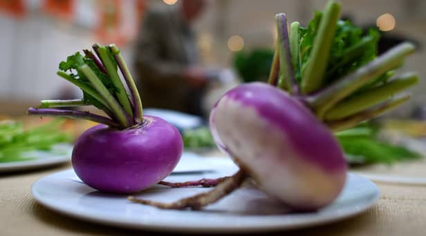 Susan Morrison inadvertently picked up a turnip recipe and a letter to Scottish Gas, rather than her speech to the Scottish Parliament (Picture: Ben Pruchnie/Getty Images)
