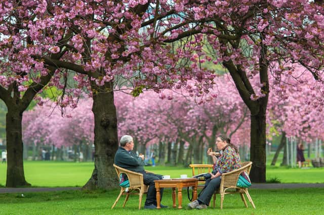 The Meadows is beautiful all year around, but there's something magical about the area in spring when the cherry trees are in bloom. It's the perfect place for a leisurely stroll and a picnic, with plenty of coffee shops and places to eat nearby.
