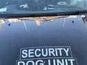 Writer Nick Jury was not expecting to see a cat when he walked past the security dog unit van! (Photo credit: Nick Jury)