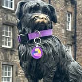 Greyfriars Bobby recruited to global cancer prevention campaign