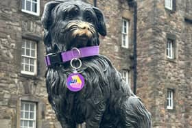Greyfriars Bobby recruited to global cancer prevention campaign