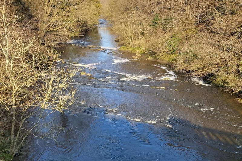 Fay Susan Edgar said: "The River Almond in Livingston."