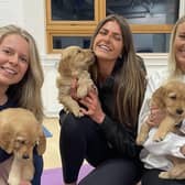People get to cuddle the puppies at Edinburgh Puppy Yoga