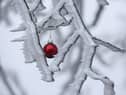 A Christmas tree ball hangs on the branches of a tree covered with hoar frost and snow. People have been warned to avoid meetings with others this week if they want to have a normal Christmas dinner. Picture: Thomas Warnack/dpa via AP