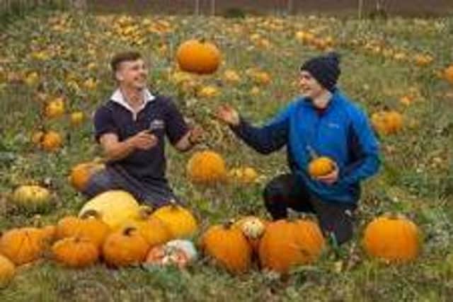 Alex and David in their pumpkin 'patch'