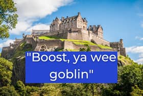 "Boost, ya wee goblin" is basically a far more poetic way of telling someone to get lost.
