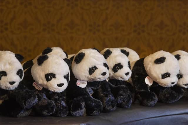 The Volunteer Midlothian pandas.