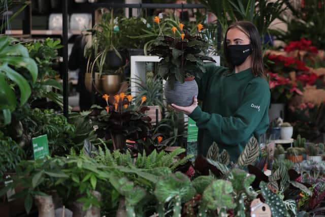 The new Little Dobbies has opened its doors in Stockbridge
