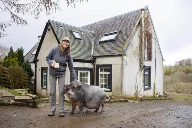 Three and half year old Francisco who was bought as a trendy micro pig, then brought to Tribe Animal Sanctuary Scotland when he got too big, now weighs 130kg, is actually a Vietnamese potbellied cross and spends his time in the home of Morag Sangster in Edinburgh (Photo: Katielee Arrowsmith).