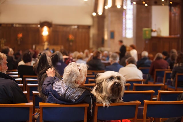 The annual pet blessing service means paws in the pews at Greyfriars Kirk as animal lovers bring their pets to church.