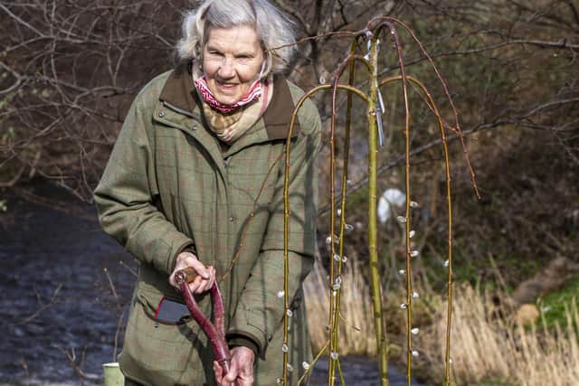 Lady Jennifer Bute has been a keen and knowledgeable gardener all her life   Picture: Lisa Ferguson