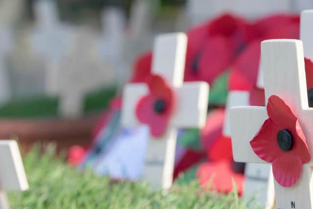 Red poppies might be the most common colour for Remembrance Sunday poppies, but there are other colours with different meanings as well. Photo: Sterling750 / Getty Images / Canva Pro.