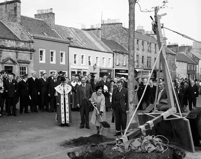 Haddington town centre had a facelift in 1962. Mrs M Noble is pictured planting a tree presented by the Duke of Hamilton.