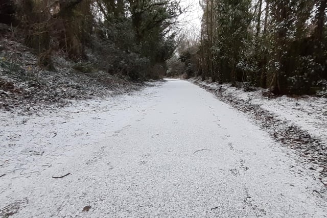 This path in Colinton Dell was covered in snow this morning.