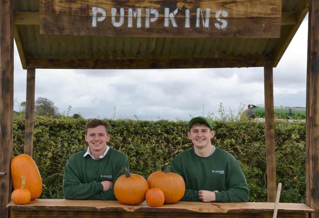 David Grant Suttie, 21, and Alex Humphreys, 22, as humble as pumpkin pie