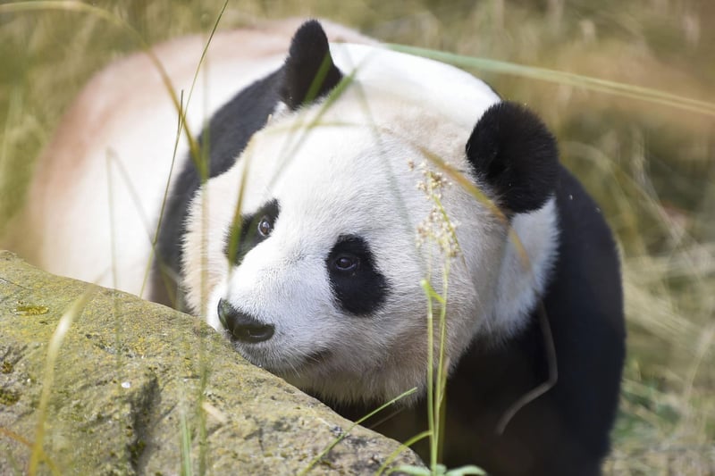Yang Guang receives some delicious treats ahead of his 19th birthday on 14 August, 2022.