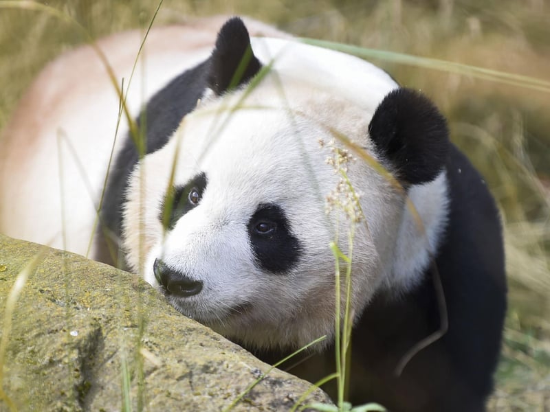 Yang Guang receives some delicious treats ahead of his 19th birthday on 14 August, 2022.