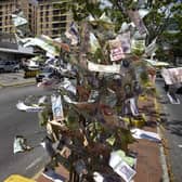 It may look like a 'magic money tree', but these banknotes on display in Caracas, Venezuela, are virtually worthless (Picture: Yuri Cortez/AFP via Getty Images)