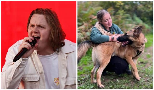 Big-hearted singer Lewis Capaldi has stepped in to help his near namesake dog to find a new home.