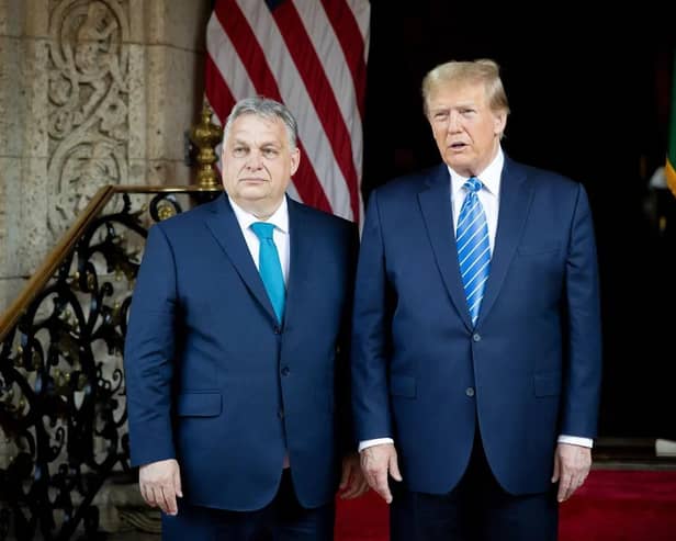 Hungarian leader Viktor Orban met likely US presidential Republican candidate Donald Trump in Florida last week