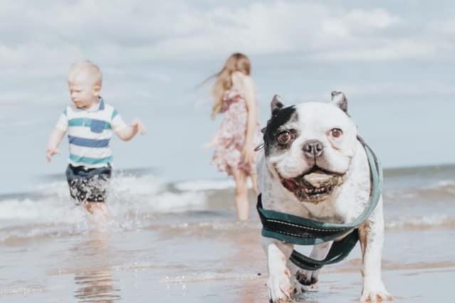 A big smile for the best day at the beach!