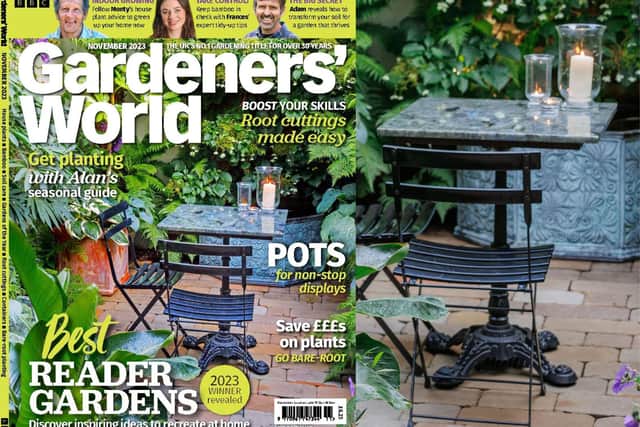 Clive’s garden features on the front cover of this month’s Gardners’ World Magazine and includes an eight-page feature. When Clive moved into his Circus Lane flat in 2005 there was no garden at all. But after knocking down a makeshift extension, Clive transformed the area into a stunning tranquil greenspace