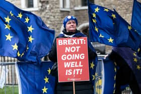 An anti-Brexit protester makes a point outside the Westminster parliament (Picture: Jack Taylor/Getty Images)