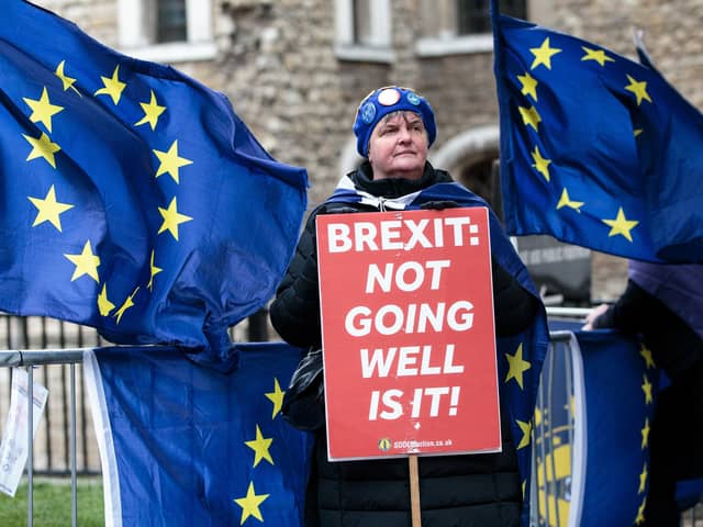 An anti-Brexit protester makes a point outside the Westminster parliament (Picture: Jack Taylor/Getty Images)