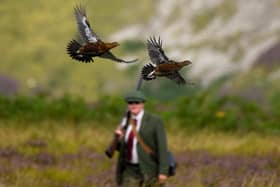 DUNS, SCOTLAND - AUGUST 12: Pam Butler joins a shooting party on the first day of the grouse shooting season at Roxburghe Estates on August 12, 2021 in Duns, Scotland. The UK’s grouse shooting season begins today, marking what game shooting enthusiasts call the “Glorious Twelfth “which runs until the 30th of November. (Photo by Jeff J Mitchell/Getty Images)