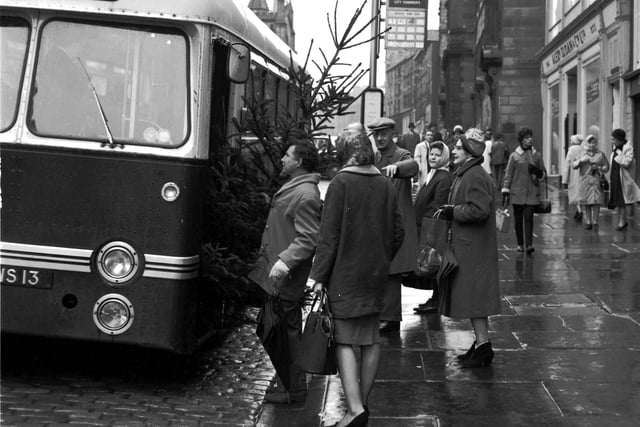 A man with a Christmas tree trying to get on a bus on the High Street in Edinburgh