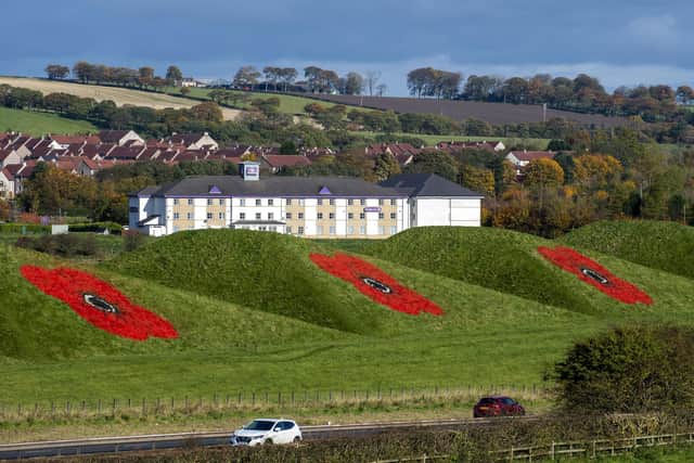 All three poppies at the site, Pyramid Business Park.