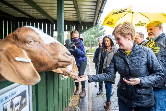 Scotland's First Minister and leader of the Scottish National Party (SNP), Nicola Sturgeon (3R) reacts as she feeds the goats during a campaign visit with SNP candidate Angus Robertson (R), to LOVE Gorgie Farm in Edinburgh (Photo by Jane Barlow / POOL / AFP).