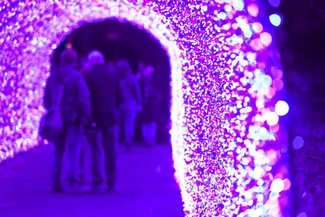 Tickets to Edinburgh Zoo’s Halloween and Christmas light shows are on sale now