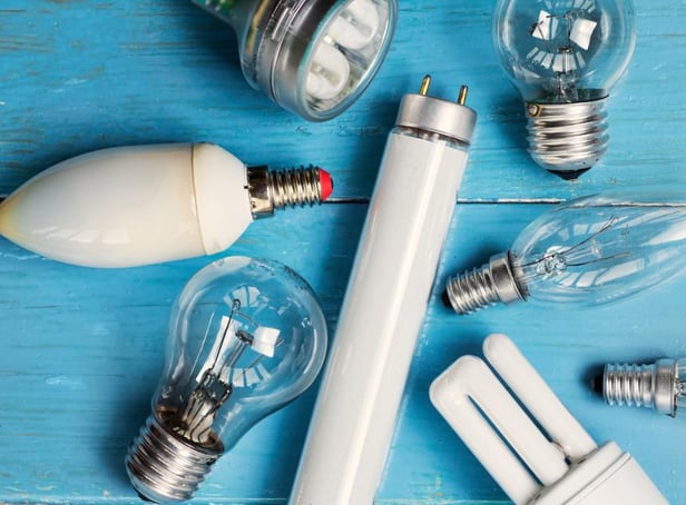 Sales of halogen and fluorescent light bulbs will be banned under the government’s climate change plans (Photo: Shutterstock)