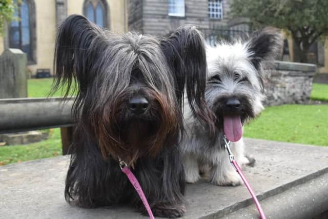 Members of the Skye terrier club are expected to bring their pets to the service at Greyfriars Kirk.