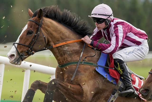 Jockey Charlie O'Dwyer rose the shock 300/1 winner. Picture Alan Crowhurst/Getty