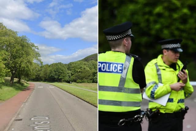 Puppy killed in hit and run after chasing a bird in Edinburgh beauty spot