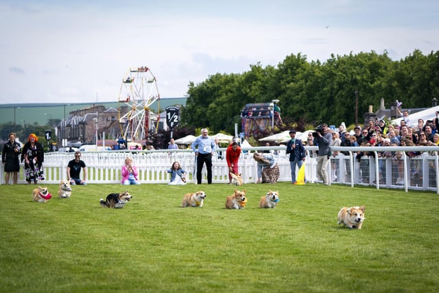 Participants take part in the first ever Corgi Derby to mark 70 years of The Queen's reign, at Musselburgh Racecourse, on day four of the Platinum Jubilee celebrations.