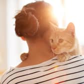 Following a few simple tips could lead to you building a deeper bond with your cat.