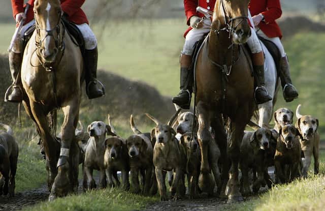 Scotland's new Hunting with Dogs Bill has been acclaimed by animal rights groups (Picture: Christopher Furlong/Getty Images)