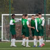 The Hibs players celebrate Josh McCulloch's goal. Picture: Maurice Dougan