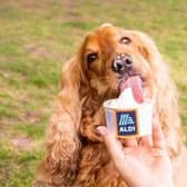 Aldi is launching a new dog-friendly ice cream for pups to enjoy this summer.
