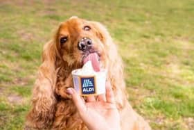Aldi is launching a new dog-friendly ice cream for pups to enjoy this summer.