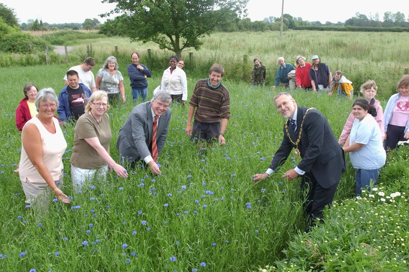 It was traditional to wear a cornflower, grown locally especially for the occasion, for the Chichester Gala Day event.