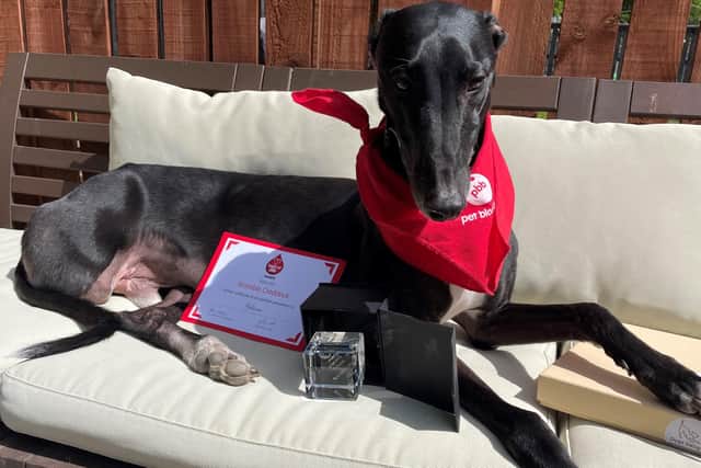 Dalkeith dog Yohann with his  Pet Blood Bank Bramble Craddock Award for being an outstanding dog, both for his contributions to the charity and his support of his family.