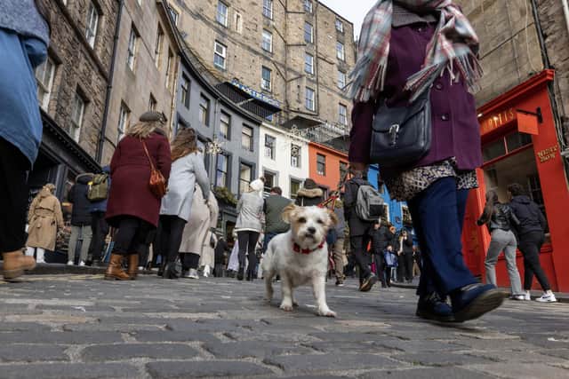 Victoria Street in Edinburgh has been crowned as the UK’s best spot for independent shops. Photo: Robert Perry